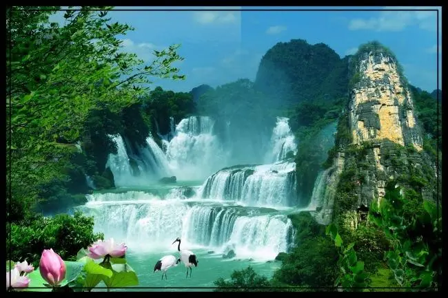 智能智能系统